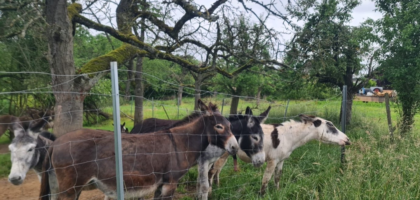 5ab8a6d4-fdbb-4d40-b28a-f03279d9ca68