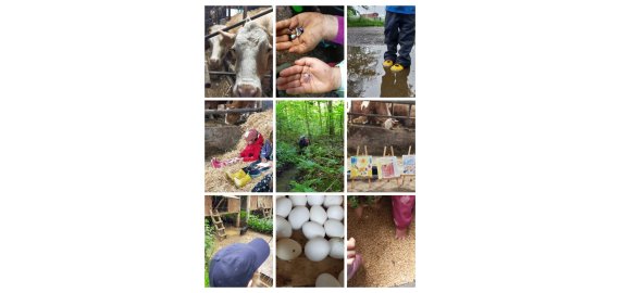 img-20240527-wa0001-1